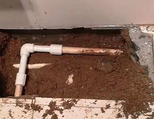 武隆测漏水哪家好