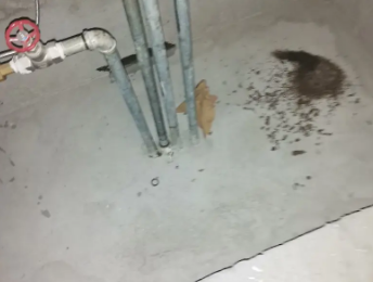 武隆卫生间测漏水价格明细